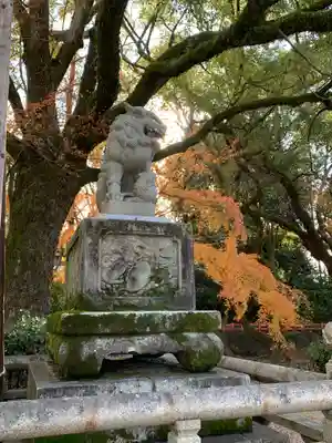 八坂神社(祇園さん)の狛犬