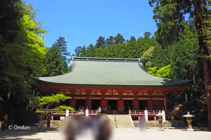 比叡山延暦寺(滋賀県)