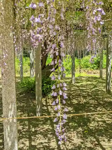 志那神社(滋賀県)