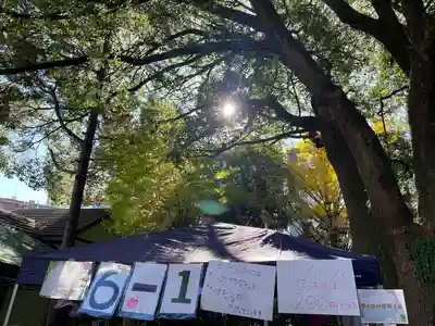 洲崎大神(神奈川県)