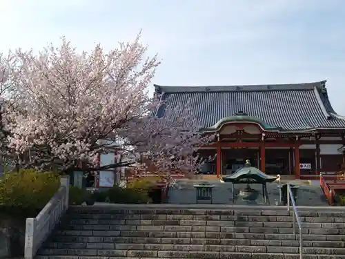 一畑山薬師寺 岡崎本堂(愛知県)