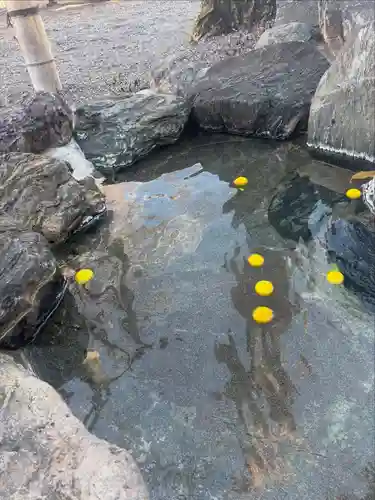 温泉神社〜いわき湯本温泉〜(福島県)