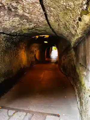 銭洗弁財天宇賀福神社(神奈川県)