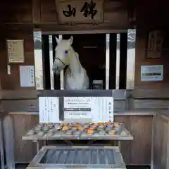 多度大社の動物