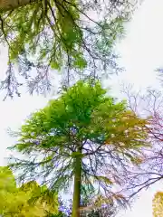 蛟蝄神社奥の宮(茨城県)