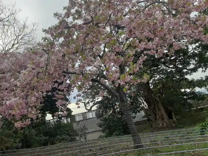 江島神社(神奈川県)