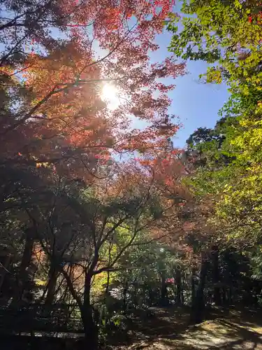 大矢田神社の自然
