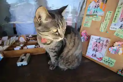 前玉神社(埼玉県)