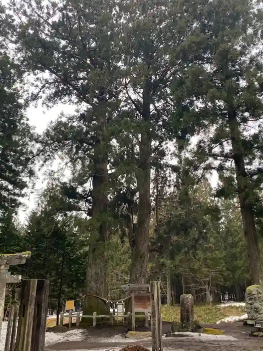 岩手山神社の建物その他