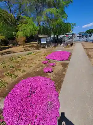 満福寺(栃木県)
