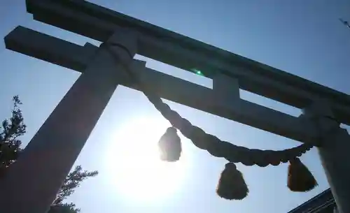 札幌八幡宮の鳥居