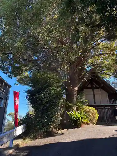 日吉神社(神奈川県)