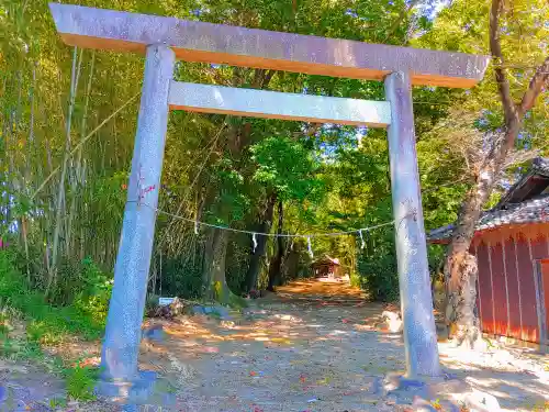 神明社（島本）の鳥居