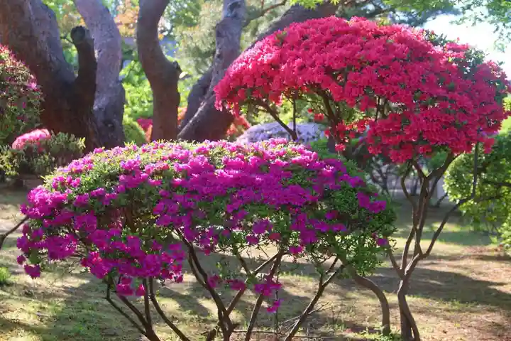 開成山大神宮の庭園