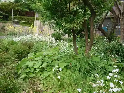 龍寳寺（龍宝寺）(神奈川県)
