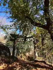 菱野健功神社(長野県)