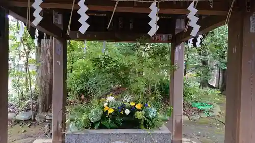 赤坂氷川神社の手水舎
