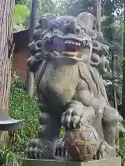 須山浅間神社の狛犬