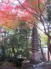 大正寺の庭園