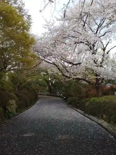 千手院(東京都)