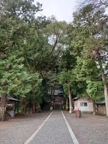 堀之内神社の建物その他