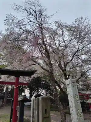 野宮神社(埼玉県)