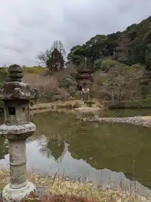 浄瑠璃寺(京都府)