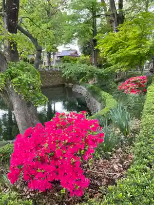 瀧宮神社(埼玉県)