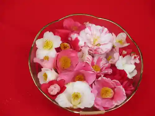 平岡八幡宮の自然