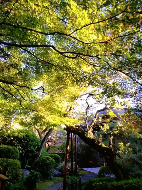 大正寺(東京都)