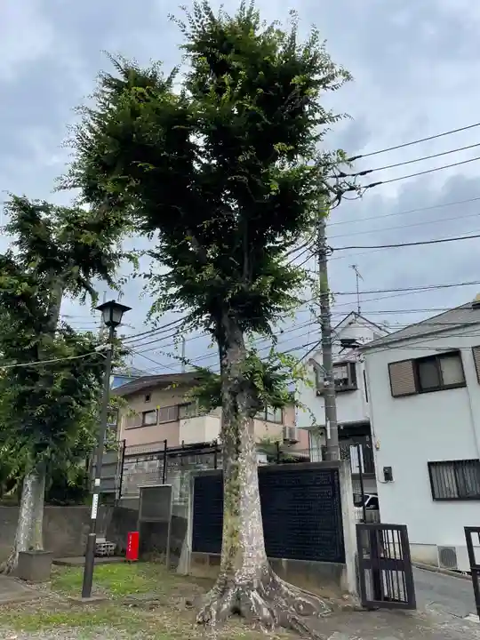 稲荷神社の自然