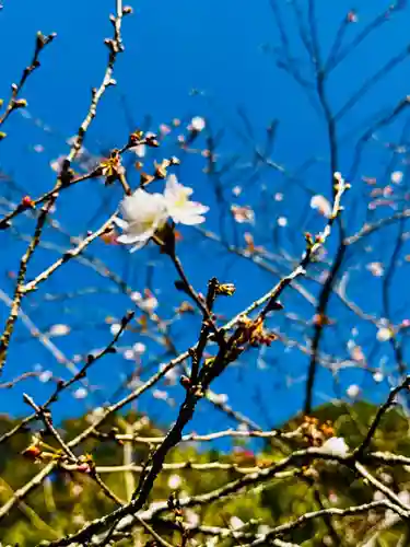 安国寺(京都府)