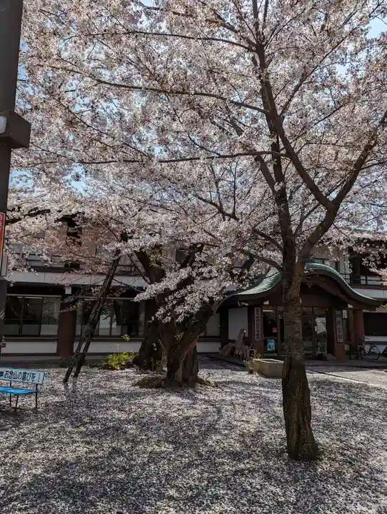 本願寺山科別院(京都府)