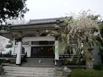 行善寺の本殿・本堂