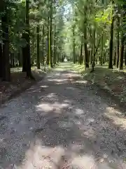 大谷神社（大泉）の周辺