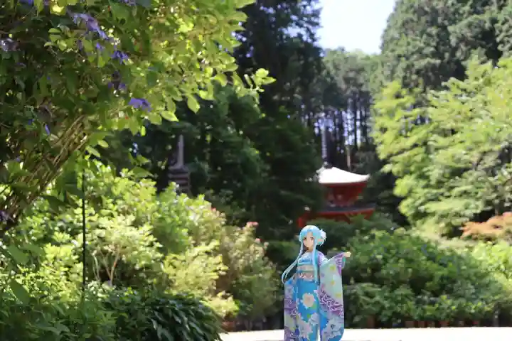 岩船寺(京都府)