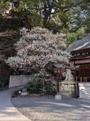 乃木神社(東京都)