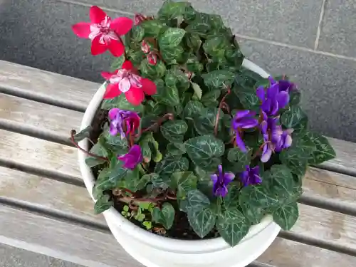 妙蓮寺(神奈川県)