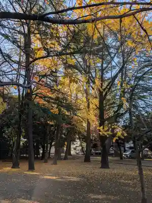 川口神社(埼玉県)