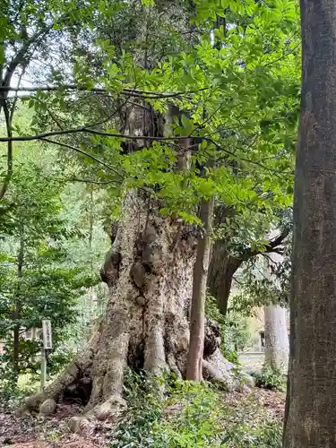 大宮賣神社(京都府)