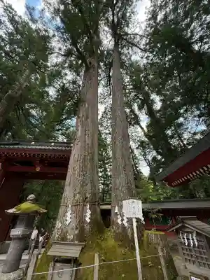 日光二荒山神社(栃木県)