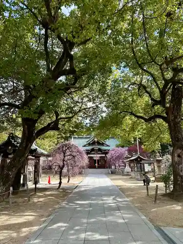 屯倉神社の本殿・本堂