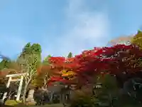 土津神社|こどもと出世の神さまのその他建物