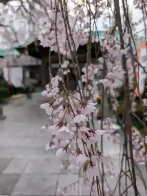 身照寺の{uncategorized: "未分類", other: "その他", undefined: "問題あり", building: "その他建物", grave: "お墓", sacred_gate: "鳥居", guardian: "狛犬", statue: "像", buddha: "仏像", history: "歴史", nature: "自然", garden: "庭園", animal: "動物", pagoda: "塔", temizu: "手水舎", mountain_gate: "山門・神門", sanctuary: "本殿・本堂", subordinate: "末社・摂社", art: "芸術", scenery: "景色", jizo: "地蔵", ema: "絵馬", goshuin: "御朱印", omikuji: "おみくじ", items: "授与品その他", amulet: "お守り", goshuincho: "御朱印帳", eats: "食事", festival: "お祭り", votive_dance: "神楽", shichigosan: "七五三参", wedding: "結婚式", experience: "体験その他", initially: "初詣", around: "周辺", anti_infection: "感染症対策"}