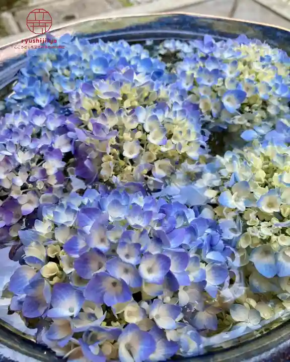 立志神社(滋賀県)