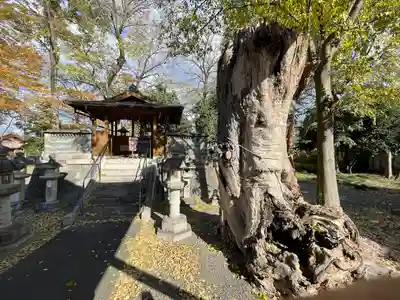若宮八幡神社(滋賀県)