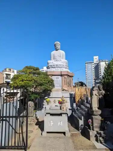 常光寺の御朱印