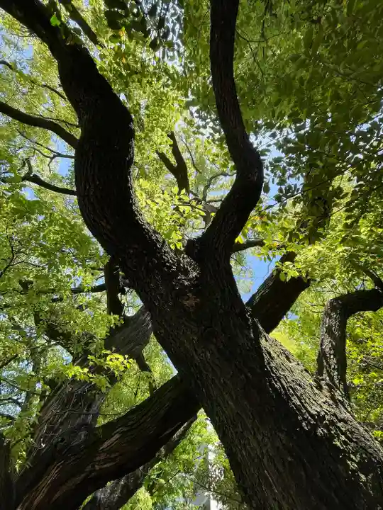 若一神社(京都府)