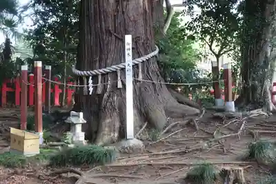 麻賀多神社奥宮(千葉県)