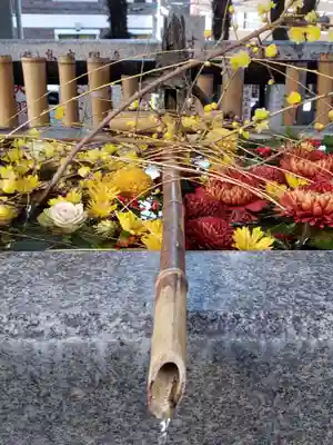 高円寺氷川神社(東京都)
